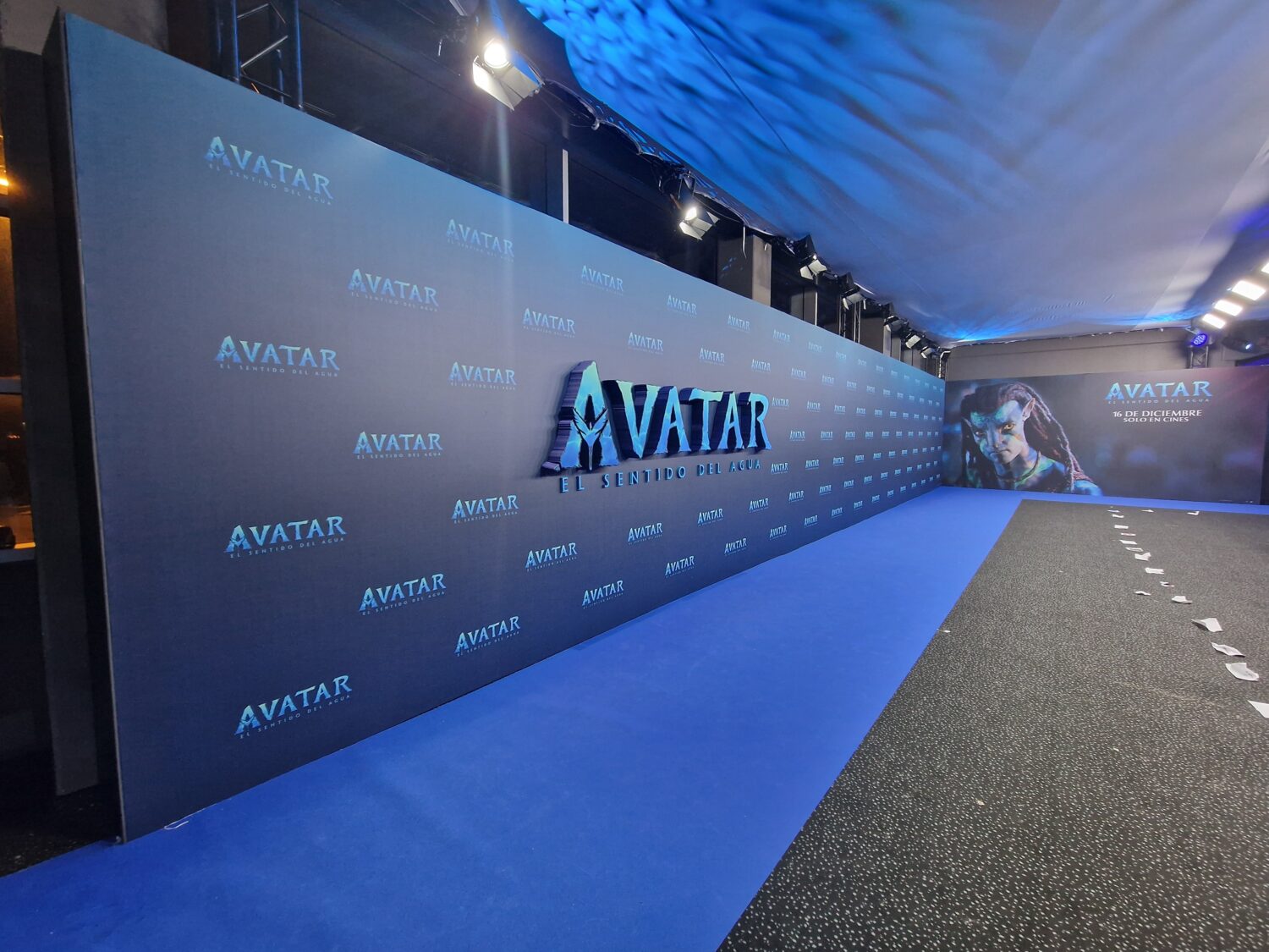 AVATAR 2 - www.somosbig.es