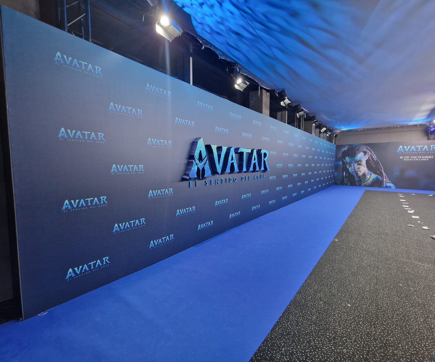 AVATAR 2 - www.somosbig.es
