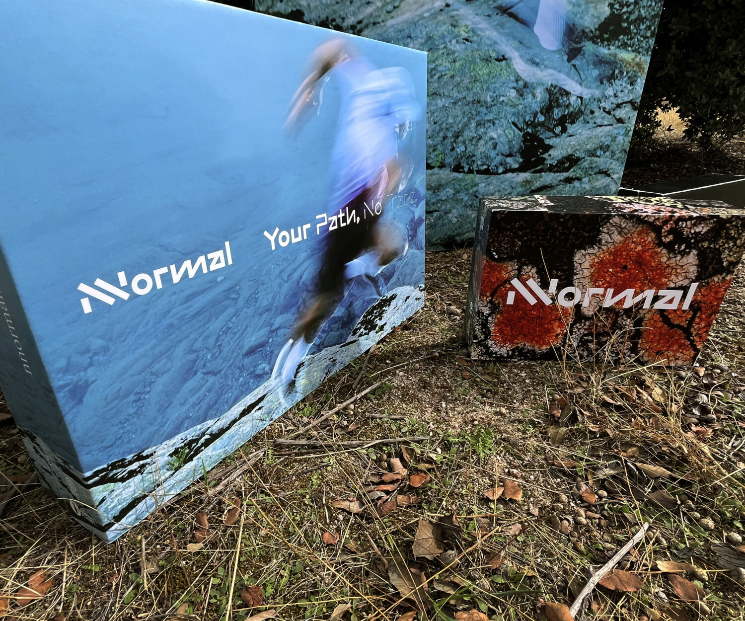 Nnormal - www.somosbig.es