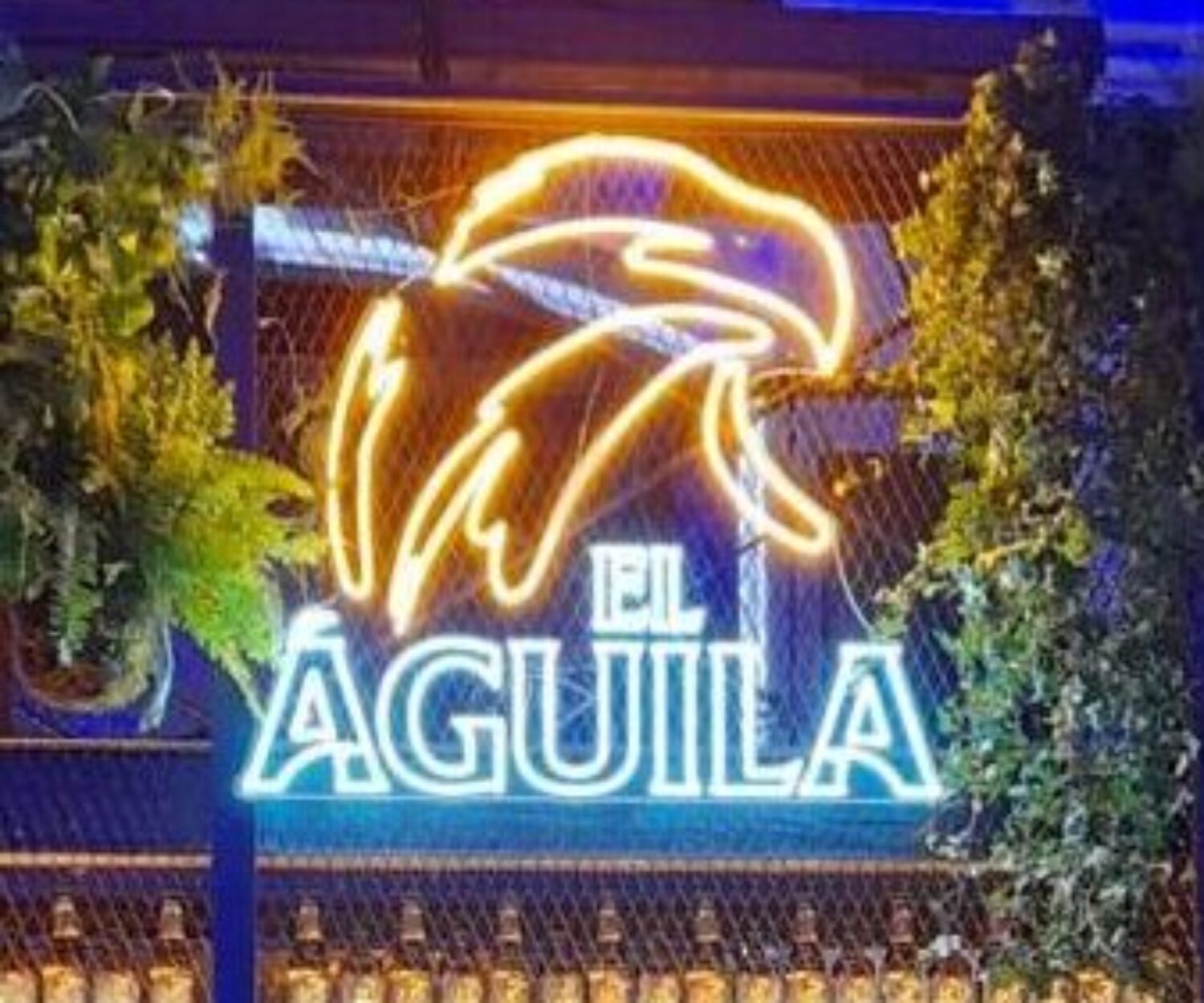 neon el águila - www.sonosbig.es