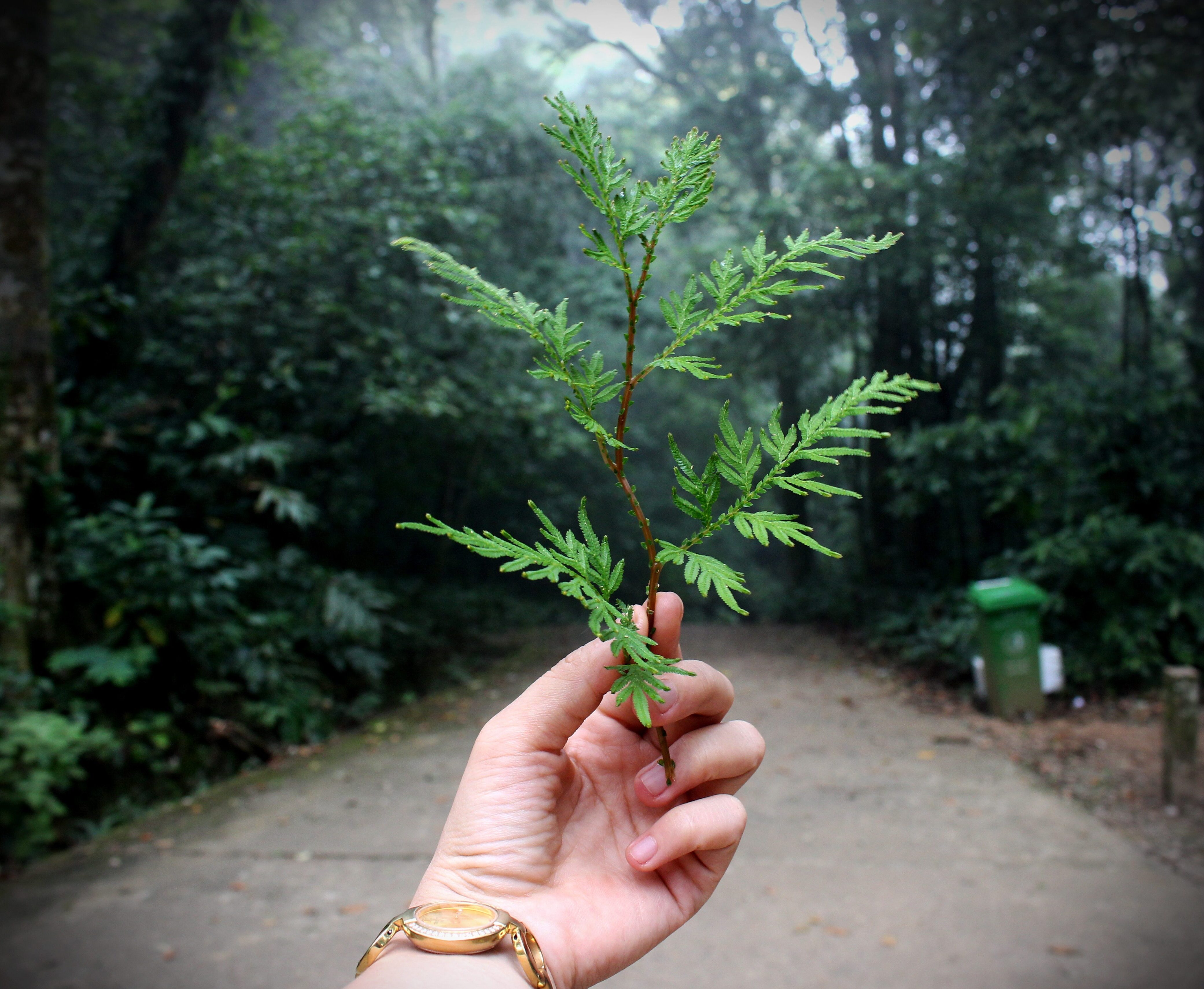 sostenibilidad - www.somosbig.es