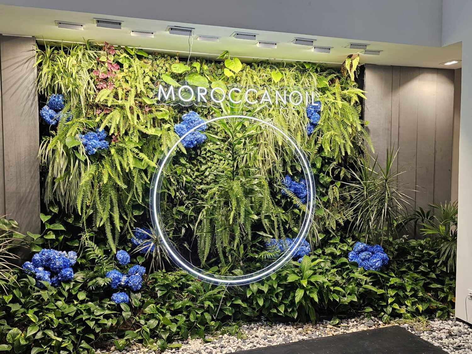 Moroccan Oil - www.somosbig.es