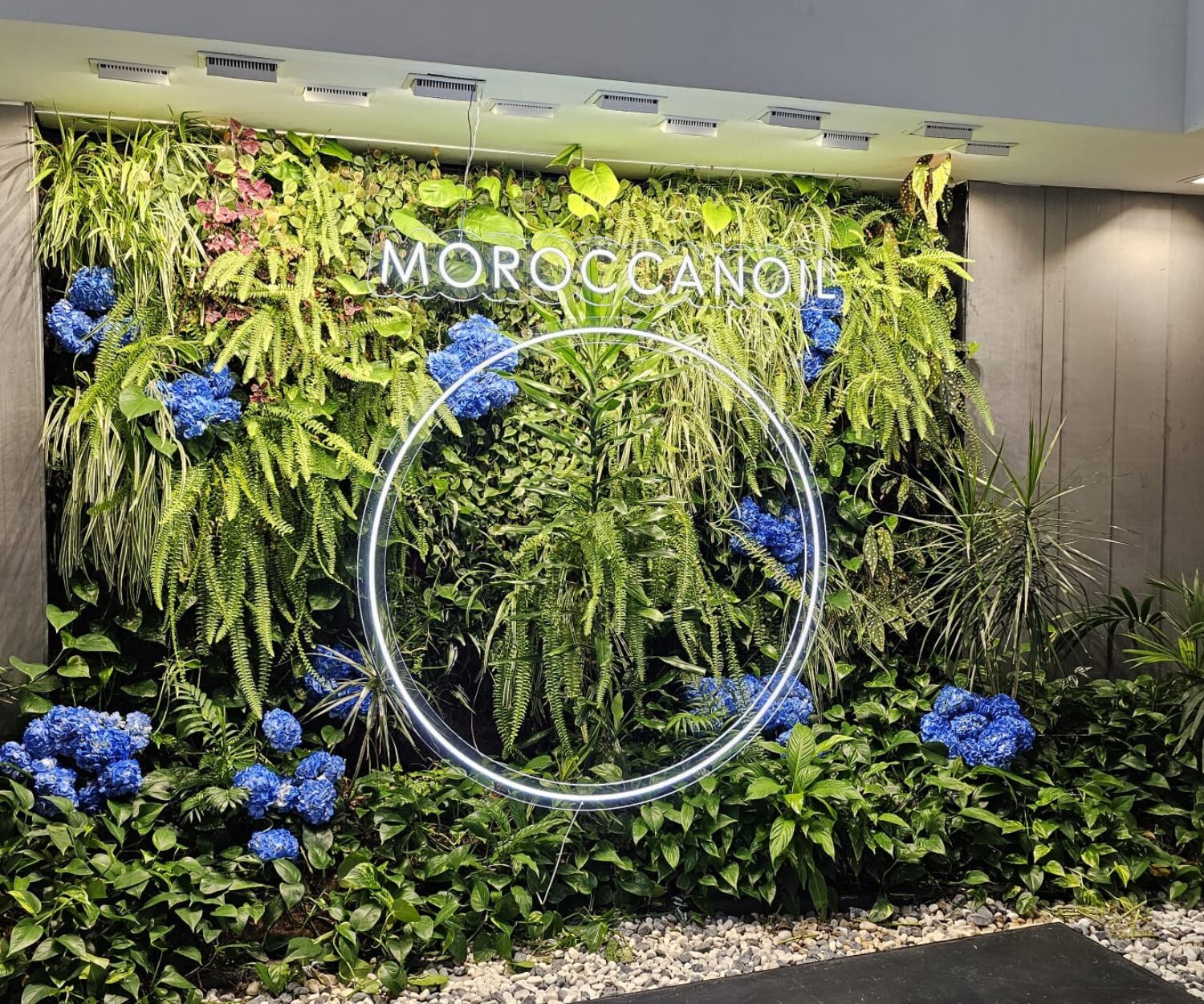 Moroccan Oil - www.somosbig.es